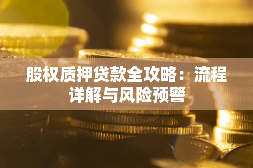 济南股权质押贷款全攻略：流程详解与风险预警
