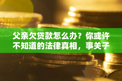 济南父亲欠贷款怎么办？你或许不知道的法律真相，事关子女未来