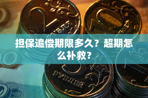 济南担保追偿期限多久？超期怎么补救？