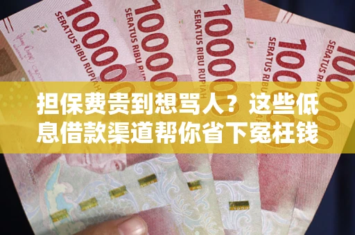 济南担保费贵到想骂人？这些低息借款渠道帮你省下冤枉钱