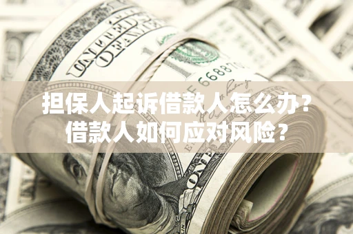 济南担保人起诉借款人怎么办？借款人如何应对风险？