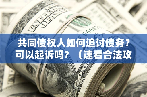 济南共同债权人如何追讨债务？可以起诉吗？（速看合法攻略）
